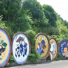 DING AUNT User Photo