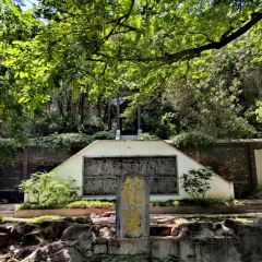 牛肉拐子饭(金源明珠店) User Photo