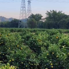 明味生態農莊張用戶圖片