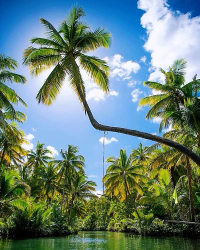 Maasin River Bridge