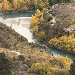 Ramen Tekapo User Photo