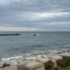 Portsea Hotel Bistro張用戶圖片