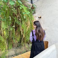 肆喜SPACE餐厅 User Photo