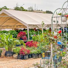 海如的花園張用戶圖片