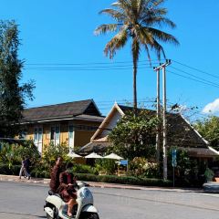 Bamboo Tree Authentic Lao Cuisine Restaurant and cooking school User Photo