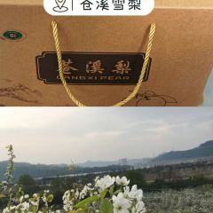 老梨园农庄 여행 사진