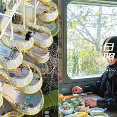 咖啡与树 User Photo