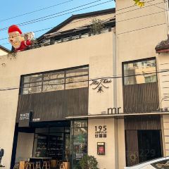 Mr Willis User Photo