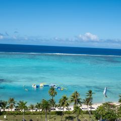 Ohas cafe (Kensington) User Photo