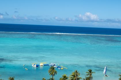 Ohas cafe (Kensington)