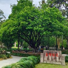 奥灶馆 User Photo