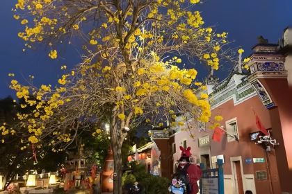 食鼎記·私房菜(三坊七巷店)