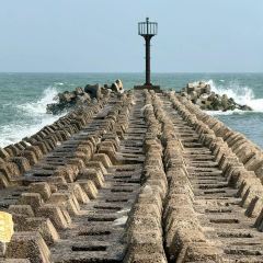 YANGCHANGZI User Photo