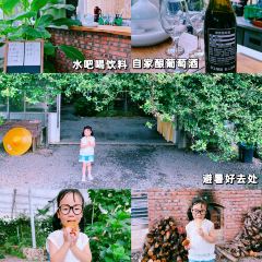 YONG XIANG TU CAI GUAN User Photo