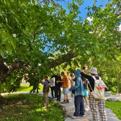 芒康云曲庄园酒店·全日制餐厅 User Photo
