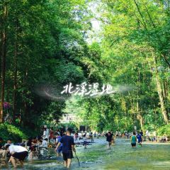 川渝味家常菜張用戶圖片