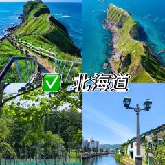 新大漠红柳烤肉餐厅 User Photo