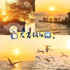 IN MY HEART 여행 사진