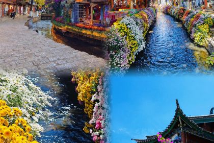 Apolapaigu (zhongyi)