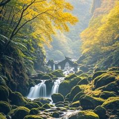 Xinyi Restaurant User Photo