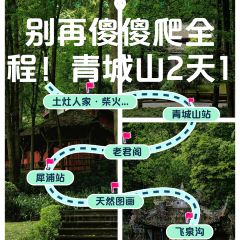 TU ZAO REN JIA CHAIHUO CHICKEN User Photo