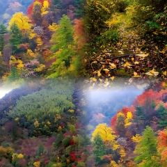 Old Kitchen User Photo