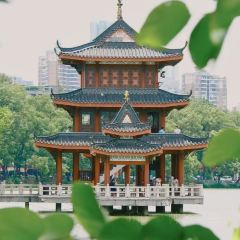 GOLD HOMELAND User Photo