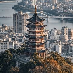 铛牛佬牛肉牛杂火锅城(江滨店) User Photo