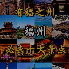 登興魚丸張用戶圖片