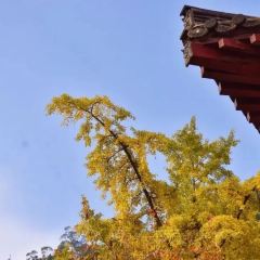 范家庄园山城老火锅(广元总店) User Photo