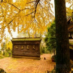 Sala Thai User Photo