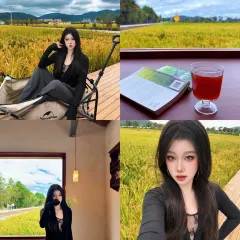 乡野菜 User Photo