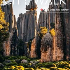 龚滩杯黑锅火锅店 여행 사진