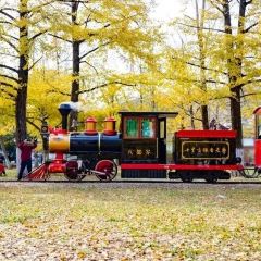 TAIHURENJIA·SUZHECAI User Photo