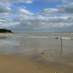 古蒸燕（三坊七巷店）張用戶圖片