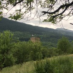 Trattoria Svaneti User Photo