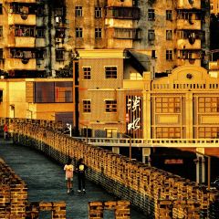 珍合雲吞麵店張用戶圖片