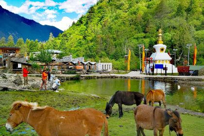 Gesang Yunlang Restaurant