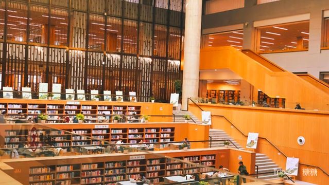 Shaanxi Provincial Library (Gaoxin Branch)