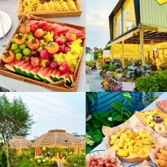 海如的花園張用戶圖片