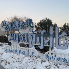 八方后身·川凤源麻辣鸡块(总店) User Photo