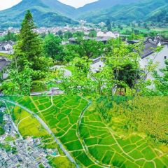 BAI YUN User Photo