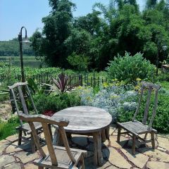 青禾文创田院 User Photo