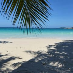 Le Chevalier Bay Restaurant User Photo