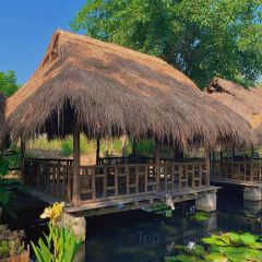 佤王宴(景洪分店) User Photo