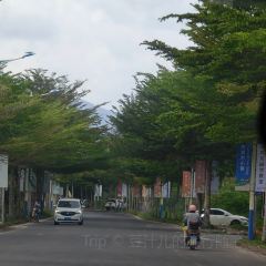 梁城椰子鸡排档 User Photo