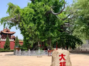 gu da huai shu chu