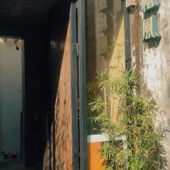 一默松风 User Photo