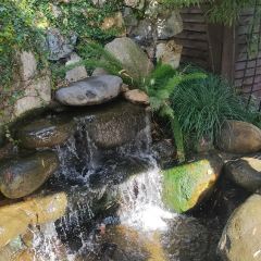 渔香庭院(工程学院店) User Photo
