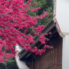 小猎犬面包公司(烟台山店) User Photo